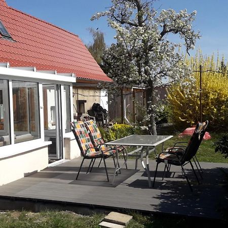 Ferienhaus Rosi Michaelstein المظهر الخارجي الصورة