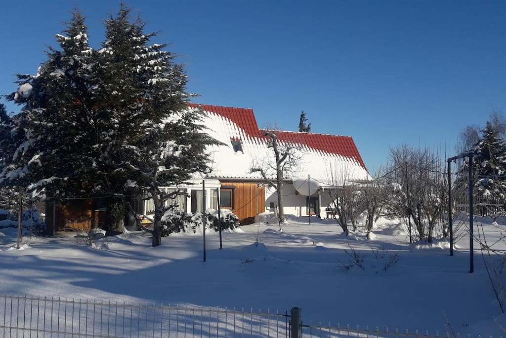 Ferienhaus Rosi Michaelstein المظهر الخارجي الصورة